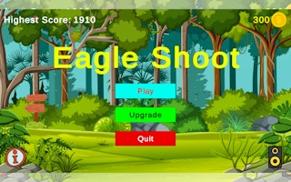Image Eagle Shooting