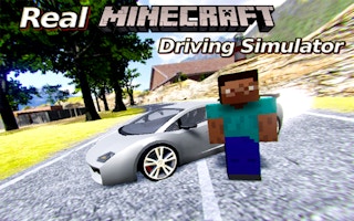 Image Real Minecraft Driving Simulator